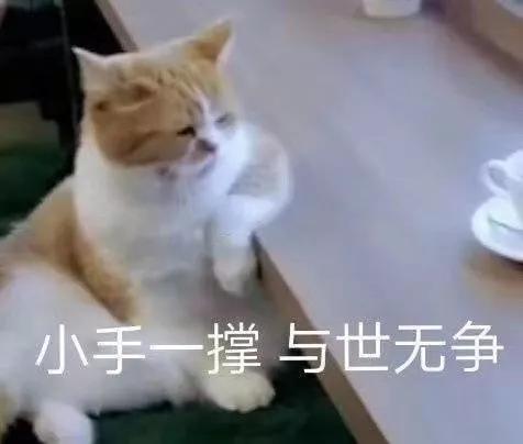 iPhone 11這兩款新顏色最火，今年色彩潮流就內定了？