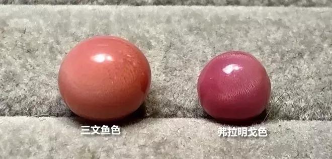 天然海螺珠是什么東西？海螺珠，又叫“孔克珠”