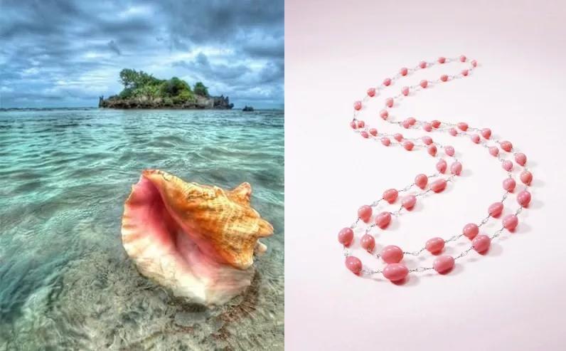 天然海螺珠是什么東西？海螺珠，又叫“孔克珠”
