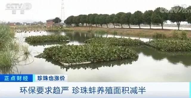 2020不買這3種珍珠就虧了！年上漲30%，現在下手還不晚！