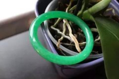 買玉鐲怎么選?如何購買玉手鐲
