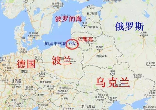 俄羅斯琥珀騙局揭秘-購買琥珀防騙小貼士