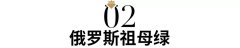 俄羅斯祖母綠值錢嗎？背后的秘密