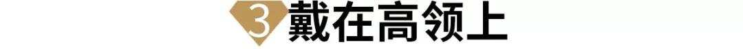 胸針的戴法圖片大全-女士胸針戴法圖片