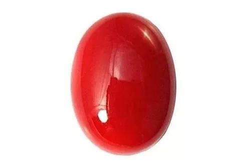 紅珊瑚的顏色分類-紅珊瑚如何保養更紅更亮？