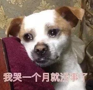 這種常見寶石，曾是王室專屬，價比鉆石！紫水晶寓意