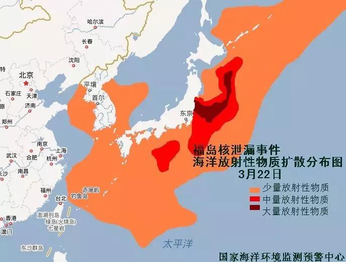 日本akoya珍珠有輻射？買國產的更放心？都不對！真相是……