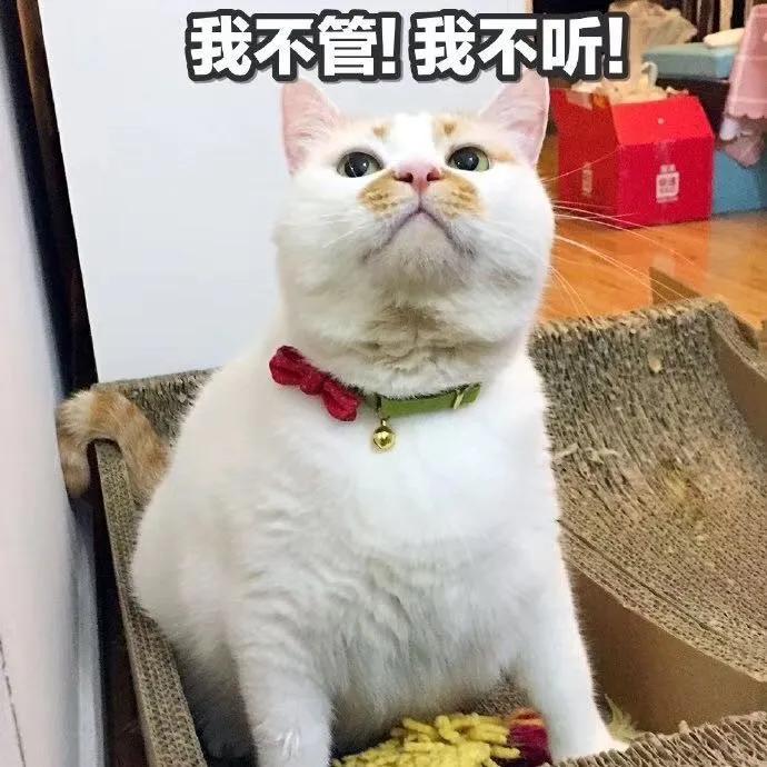 鳳九殿下，你戴的那個手鐲，真不是茶晶的...