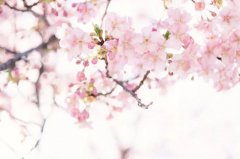 九款經典對戒推薦給你！藏在戒指里的愛情蜜語甜酥了…