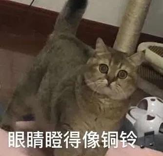 大牌鉆石項鏈只要99塊！1000元漏洞券，你信么？