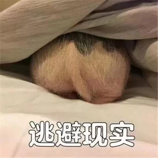 古董和田玉手鐲只值8000塊，是這屆“磚家”不行？