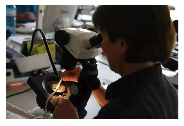 怎么才能知道，我買的寶石是不是假的？？