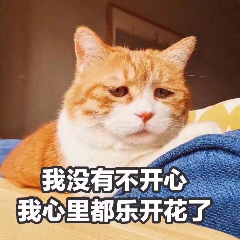 “我想用合成鉆石來求婚，可以嗎？”