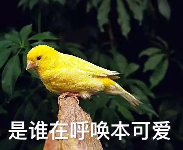 碧璽憑什么成功逆襲？十幾年間身價暴漲10倍不止