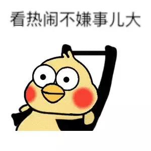 趙麗穎DIOR珠寶代言被降級？這波操作也是罕見