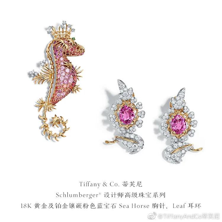 趙麗穎DIOR珠寶代言被降級？這波操作也是罕見