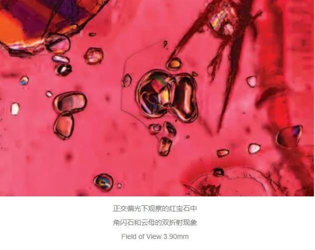 寶石內部有個仙境，只是一般人見不到它