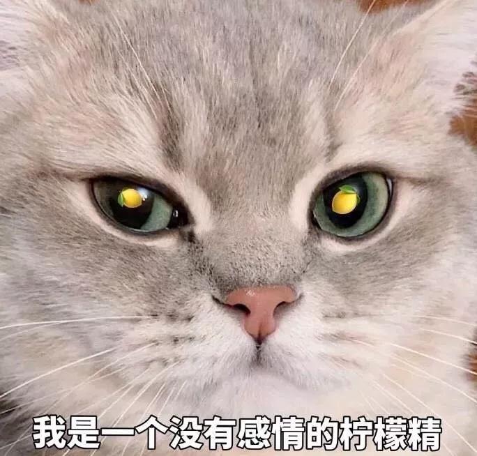 送老婆鴿子蛋鉆戒，連牙套都鑲鉆，比伯富到流油竟然只有26歲...
