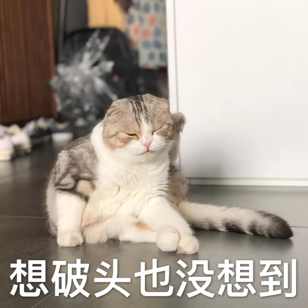 送老婆鴿子蛋鉆戒，連牙套都鑲鉆，比伯富到流油竟然只有26歲...