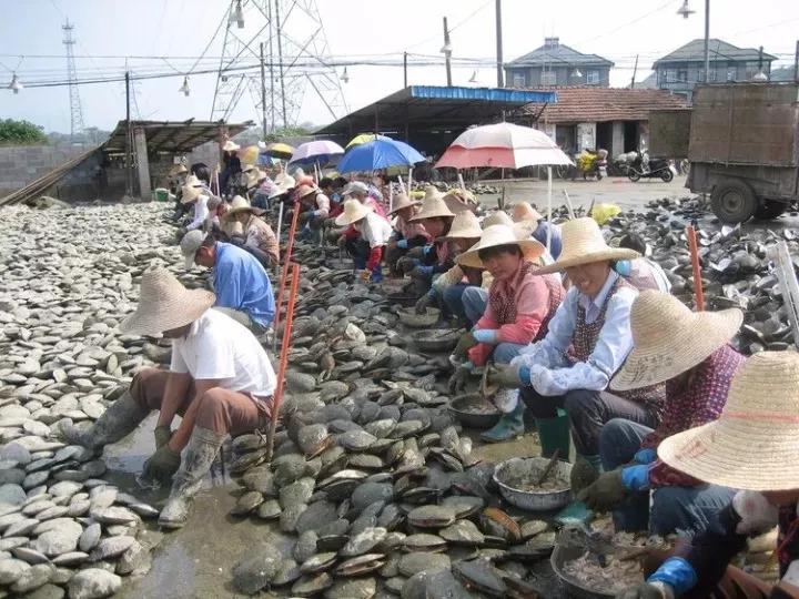 想要又好又便宜的“珍珠”得去批發市場？錯了，來這里才對！！！