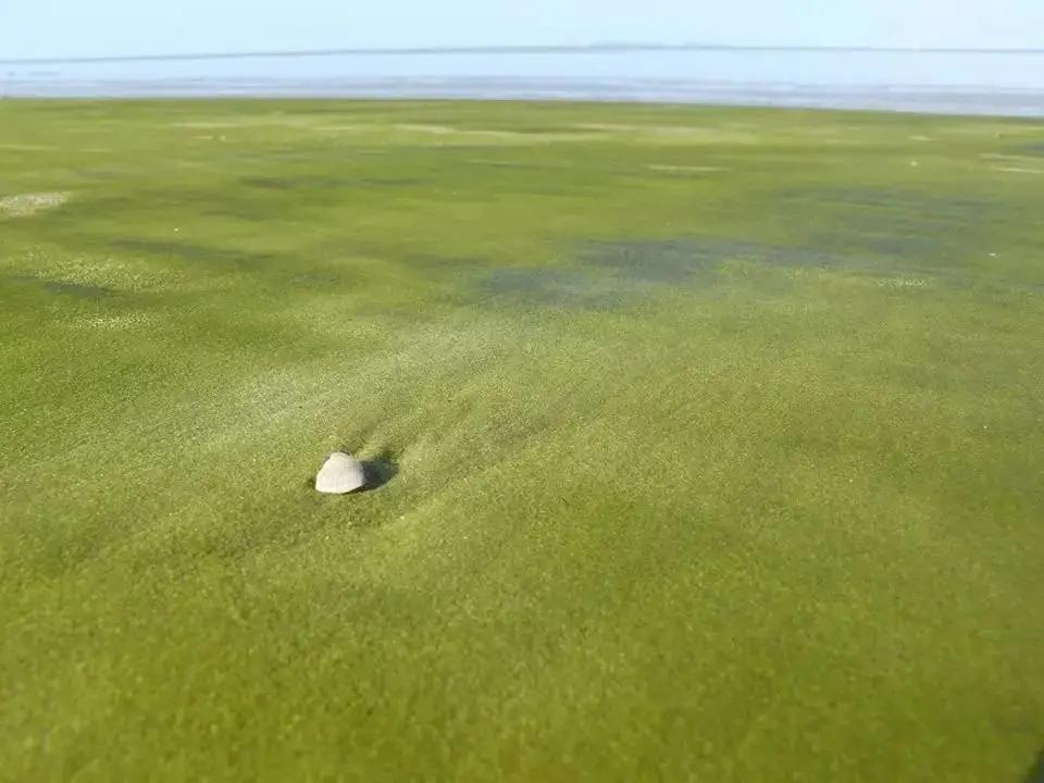 世界最美的“寶石海灘”，遍地都是寶石，你撿不撿？