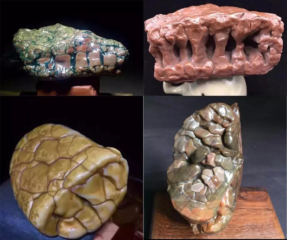 石頭是美還是丑？帶牙齒的石頭見過沒有？！馬牙石