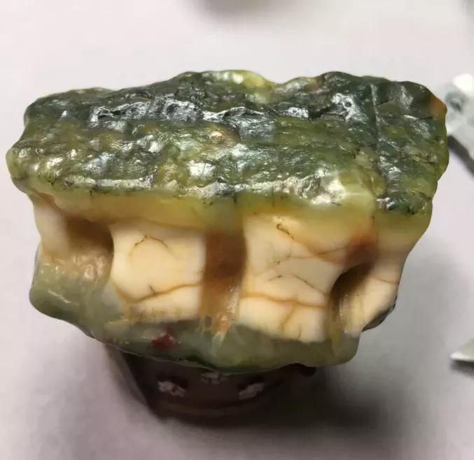 石頭是美還是丑？帶牙齒的石頭見過沒有？！馬牙石