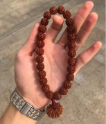 這條手串真那么好玩兒？為什么文玩圈都在說？