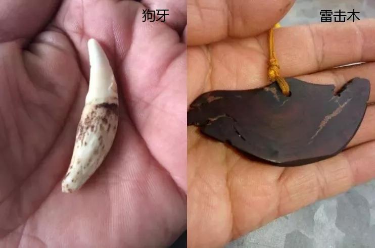 這玩意竟是護身符？快進來瞧瞧！！