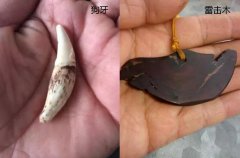 這玩意竟是護身符？快進來瞧瞧！！