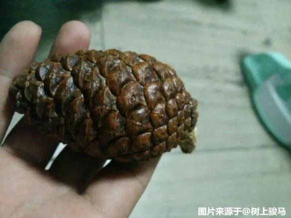 文玩人又發大招，盤出來給你十萬塊，來試試！