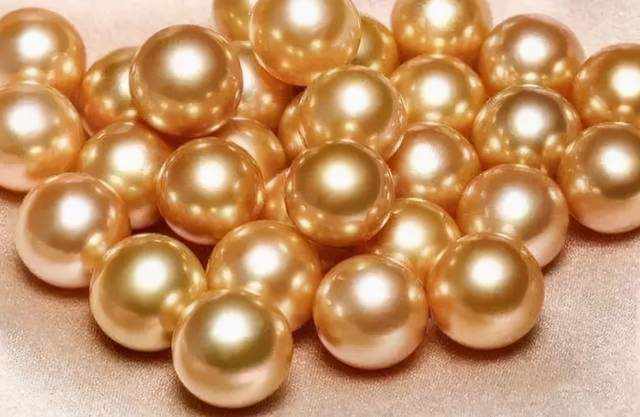 緬甸金珠：一顆21萬，一年只產2000顆？政府獨霸，只準日本人先挑？