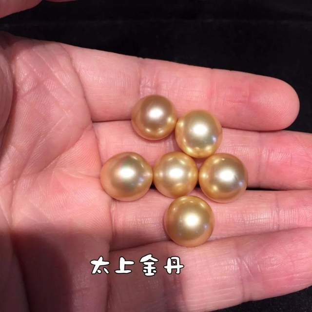 緬甸金珠：一顆21萬，一年只產2000顆？政府獨霸，只準日本人先挑？