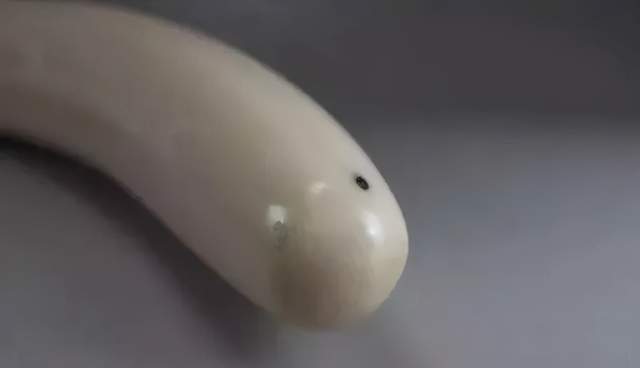 中國猛犸牙雕,世界第一,沒有第二,美到讓你說不出口!