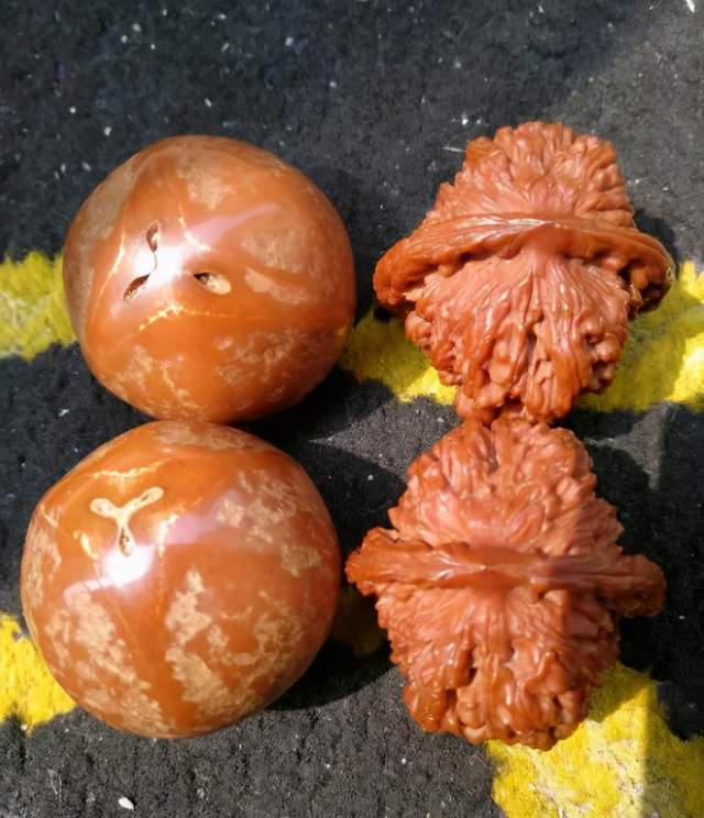 超大橄欖核為什么得不到文玩人青睞?橄欖核圓珠