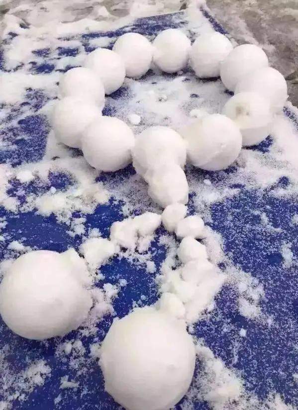 超大橄欖核為什么得不到文玩人青睞?橄欖核圓珠
