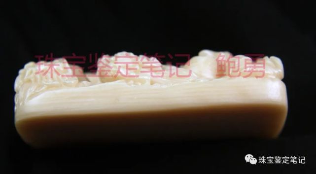 象牙？像牙！一則塑料偽造“引擎紋理”仿象牙的檢測案例