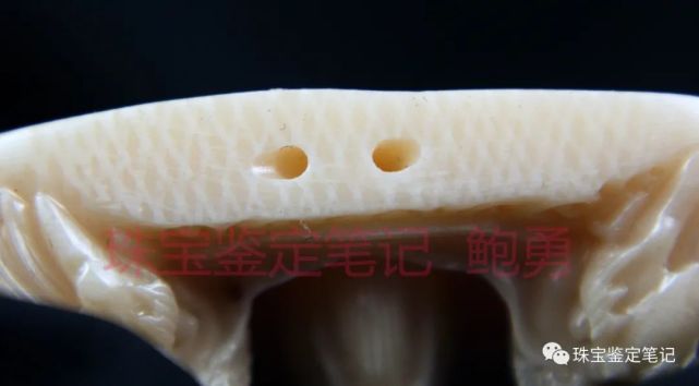 象牙？像牙！一則塑料偽造“引擎紋理”仿象牙的檢測案例