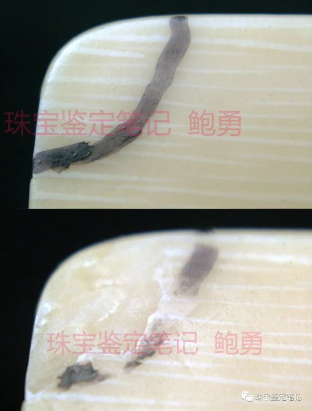 象牙？像牙！一則塑料偽造“引擎紋理”仿象牙的檢測案例
