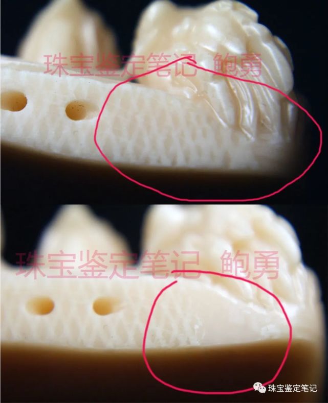 象牙？像牙！一則塑料偽造“引擎紋理”仿象牙的檢測案例