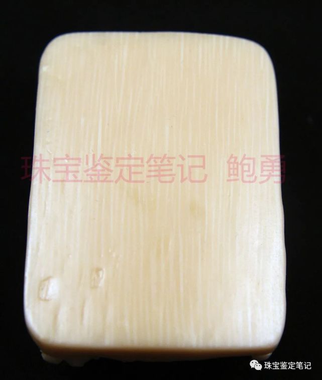 象牙？像牙！一則塑料偽造“引擎紋理”仿象牙的檢測案例