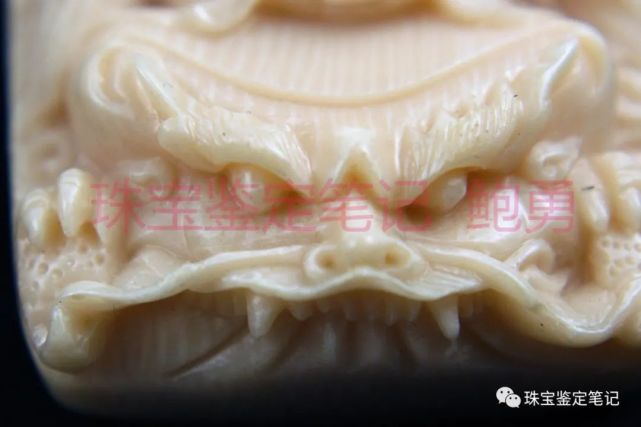 象牙？像牙！一則塑料偽造“引擎紋理”仿象牙的檢測案例