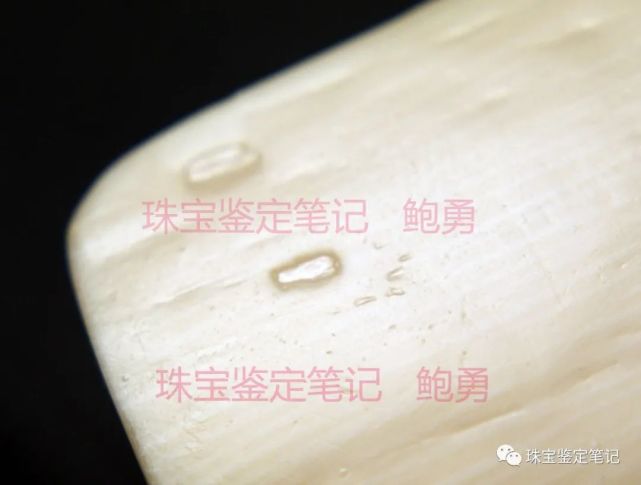象牙？像牙！一則塑料偽造“引擎紋理”仿象牙的檢測案例