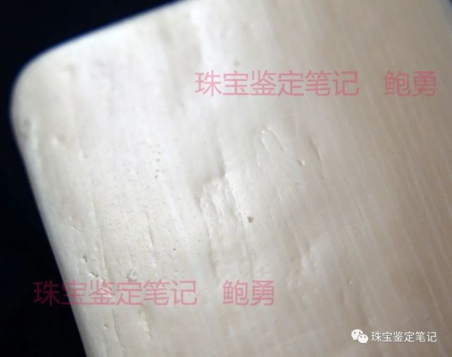 象牙？像牙！一則塑料偽造“引擎紋理”仿象牙的檢測案例