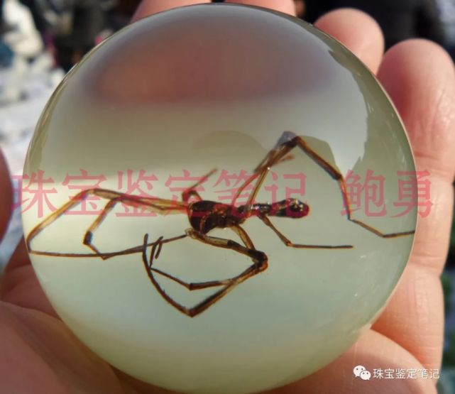 人造夜光“昆蟲琥珀”,它不香嗎?