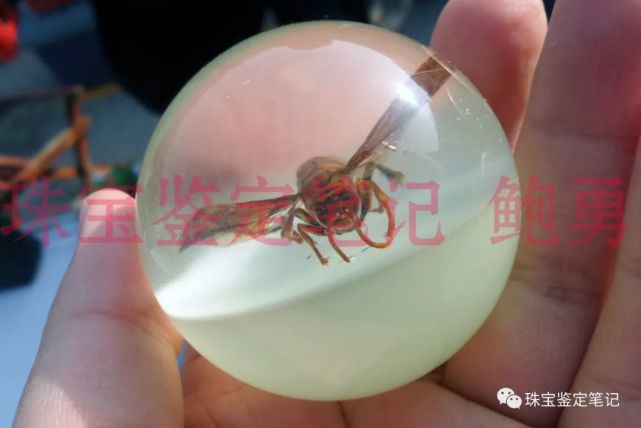 人造夜光“昆蟲琥珀”,它不香嗎?