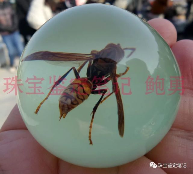 人造夜光“昆蟲琥珀”,它不香嗎?