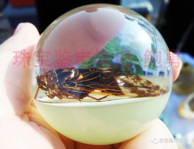 人造夜光“昆蟲琥珀”,它不香嗎?