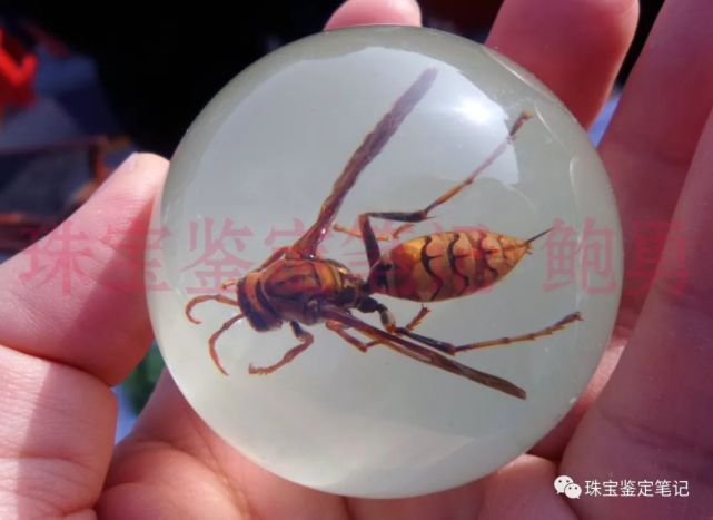 人造夜光“昆蟲琥珀”,它不香嗎?