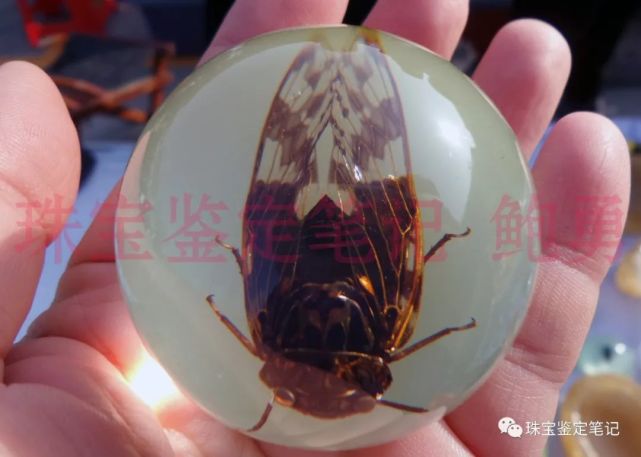 人造夜光“昆蟲琥珀”,它不香嗎?